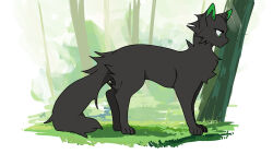 Rule 34 | animal, animal focus, black cat, cat, commentary, from side, grass, green eyes, highres, hollyleaf, minamia23, no humans, outdoors, power of three, solo, standing, tail, tree, warrior cats