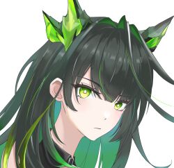 1girl ahoge arknights black_hair bright_pupils chinese_commentary closed_mouth commentary_request expressionless green_eyes green_hair hair_intakes highres huge_ahoge long_hair looking_at_viewer lu_su_ie mon3tr_(arknights) multicolored_hair portrait simple_background solo two-tone_hair white_background white_pupils