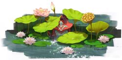 Rule 34 | 1boy, aged down, commentary, english commentary, fins, fish boy, flower, head fins, headpiece, leaf, lily pad, looking at viewer, lotus, lotus leaf, lotus pod, male focus, natsuyon, nintendo, partially submerged, plant, plum, sidon, slit pupils, solo, the legend of zelda, the legend of zelda: breath of the wild, twitter username, water, white background, yellow eyes, zora