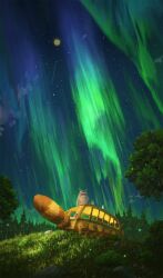 aurora cloud commentary cyclecircle english_commentary falling_leaves field forest grass highres leaf moon nature nekobus night night_sky no_humans outdoors scenery sky sky_focus standing star_(sky) starry_sky studio_ghibli susuwatari tonari_no_totoro totoro tree wide_shot
