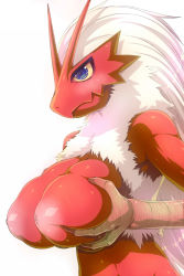1girl blaziken blue_eyes blush breasts furry gen_3_pokemon highres huge_breasts morimoto_kiyona nintendo pokemon pokemon_(creature)