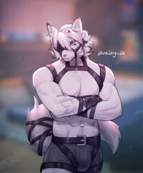 1boy abs animal_ears axiang_cai black_gloves black_male_underwear boxers bulge chest_harness colored_tips commentary crossed_arms english_commentary eyepatch furry furry_male gloves harness highres looking_at_viewer male_focus male_underwear multicolored_hair muscular muscular_male one_eye_covered pectorals red_eyes tail tail_belt topless_male twitter_username underwear unfinished von_lycaon wolf_boy wolf_ears wolf_tail zenless_zone_zero