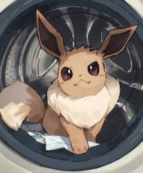 Rule 34 | animal focus, arc draws, artist name, bright pupils, brown fur, closed mouth, commentary, eevee, english commentary, gen 1 pokemon, highres, looking at viewer, nintendo, no humans, photo-referenced, pokemon, pokemon (creature), smile, solo, tail, white pupils