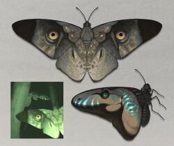 animal_focus antennae bug commentary_request grey_background highres insect moth nao70shark1 no_humans original photo_inset reference_inset
