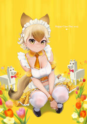 alternate_costume apron bare_shoulders beleven black_shoes blonde_hair blush border bow brown_hair coyote_(kemono_friends) detached_collar detached_sleeves enmaided flower frilled_shirt frilled_skirt frills hair_between_eyes hair_bow highres kemono_friends kemono_friends_v_project lama looking_at_viewer maid maid_apron maid_headdress mary_janes midriff minecraft multicolored_hair navel necktie orange_necktie pleated_skirt puffy_short_sleeves puffy_sleeves shirt shoes short_hair short_sleeves sidelocks skirt smile squatting thighhighs virtual_youtuber white_apron white_border white_hair white_thighhighs yellow_background yellow_eyes yellow_skirt yellow_sleeves zettai_ryouiki