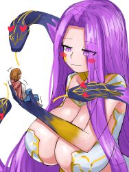 Rule 34 | 2girls, :3, absurdres, bare shoulders, blush, blush stickers, breasts, cleavage, fate/grand order, fate/stay night, fate (series), forehead, gorgon (fate), gorgon (third ascension) (fate), heart, heart-shaped eyes, highres, holding, huge breasts, large breasts, long hair, medusa (fate), mitsuzuri ayako, monster girl, multiple girls, parted bangs, purple eyes, purple hair, rider, scales, smile, snake hair, steamingtofu, very long hair