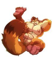 1boy abs animal_ears bara barefoot choi_yuhyun_(xxl) claws commentary completely_nude english_commentary flaccid furry furry_male highres komboochie_(cursedmarked) male_focus muscular muscular_male nipples nude open_mouth pawpads pectorals penis tail testicles tongue tongue_out weasel_boy weasel_ears weasel_tail whiskers white_background xxl_woofia