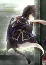 Rule 34 | 1girl, animal ears, armor, bat wings, black armor, black cloak, black gloves, black hair, cat ears, cat girl, cat tail, cloak, closed eyes, emil chronicle online, from side, ghost girl, ghost tail, gloves, holding hands, nekomata, nekomata kuro, official alternate costume, red ribbon, ribbon, tail, wings, yukuri
