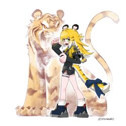 1girl animal animal_ears black_shoes blonde_hair blue_bow bow commentary detwang green_eyes highres ju_fufu long_hair looking_at_viewer multicolored_hair open_mouth pom_pom_(clothes) shoes shorts simple_background socks standing symbol-only_commentary tail tail_bow tail_ornament thigh_strap tiger tiger_ears tiger_girl tiger_tail twitter_username white_background white_hair white_socks zenless_zone_zero