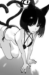 1girl absurdres animal_ears ass bikini black_eyes blue_archive cat_ears cat_girl cat_tail drive_shot greyscale halo highres kikyou_(blue_archive) kikyou_(swimsuit)_(blue_archive) monochrome multi-strapped_bikini_bottom multiple_tails official_alternate_costume solo swimsuit tail two_tails