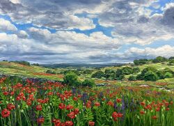 blue_sky cloud cloudy_sky commentary day england english_commentary field flower flower_field highres kate_avery landscape oil_painting_(medium) original outdoors painting_(medium) poppy_(flower) purple_flower real_world_location red_flower scenery sky traditional_media tree