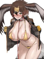 1girl absurdres bikini bird_girl bird_tail bird_wings blush breasts brown_eyes brown_hair collar gloves gold_bikini golden_eagle_(kemono_friends) head_wings highres jacket kemono_friends large_areolae large_breasts looking_at_viewer navel shibori_kasu short_hair simple_background solo swimsuit tail wings