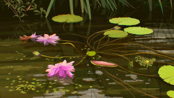 absurdres fangpeii flower highres leaf lily_pad no_humans original outdoors pink_flower plant pond scenery water