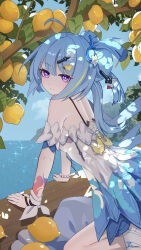 1girl absurdres ahoge ai_dongdong bare_shoulders blue_dress blue_sky breasts dress food from_side fruit griseo griseo_(starry_impression) griseo_(summer_as_a_painting) hair_ornament highres honkai_(series) honkai_impact_3rd long_hair looking_at_viewer ocean official_alternate_costume orange_(fruit) orange_tree outdoors purple_eyes sky small_breasts solo