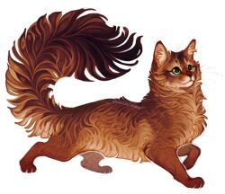 :3 animal animal_ear_fluff animal_focus brown_fur cat fluffy giulialibard gradient_fur green_eyes highres no_humans orange_fur original realistic signature simple_background solo somali_cat whiskers white_background