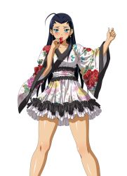 highres ikkitousen kakouen_myousai tagme