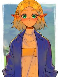 Rule 34 | 1girl, blonde hair, blue shirt, blurry, border, braid, commentary, crown braid, depth of field, green eyes, highres, looking at viewer, nintendo, outside border, pointy ears, princess zelda, rv (gvdn7245), shirt, short hair, solo, symbol-only commentary, the legend of zelda, the legend of zelda: tears of the kingdom, white border