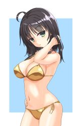 1girl ahoge alternate_costume bare_shoulders bikini black_hair blue_background border breasts cameltoe cleavage commentary_request cowboy_shot curvy gold_bikini green_eyes hand_in_own_hair hand_on_own_hip hand_up highres hitachi_mako large_breasts light_blush looking_at_viewer navel outside_border parted_lips senren_banka shirayamakoma short_hair_with_long_locks side-tie_bikini_bottom simple_background solo stomach straight_hair swimsuit three_quarter_view wet white_border