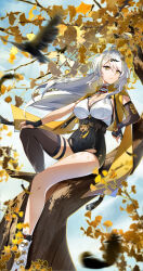 1girl absurdres ahoge arm_rest asymmetrical_gloves bird black_bird black_shorts black_thighhighs blue_sky branch breasts chinese_commentary cleavage coin coin_on_string collared_shirt commentary_request cropped_jacket day elbow_gloves falling_feathers feathers fingerless_gloves floating_hair flying gloves gold_armlet hair_between_eyes hair_ornament hand_on_own_knee high-waist_shorts highres jacket knee_up large_breasts leaf long_hair looking_at_viewer mole mole_on_breast on_tree parted_lips potto_6743835 shirt shoes shorts single_elbow_glove single_glove single_hair_intake single_thighhigh sitting sky solo tassel thighhighs tree uneven_gloves very_long_hair white_hair white_shirt white_shoes yellow_eyes yellow_jacket yin_yang_pin yixuan_(zenless_zone_zero) zenless_zone_zero