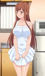 Rule 34 | 1girl, apron, ayane shirakawa, blush, breasts, brown eyes, brown hair, highres, kitchen, naked apron, overflow (anime)