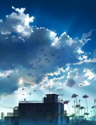 bird blurry building cloud cloudy_sky depth_of_field flower mizuasagi no_humans original outdoors pink_flower scenery sky yellow_flower