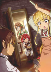 Rule 34 | 00s, 1boy, 3girls, aria (seiken no blacksmith), blush stickers, cecily cambell, lisa (seiken no blacksmith), luke ainsworth, multiple girls, pointy ears, seiken no blacksmith, shirosame, sparkle