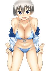 1girl :d bare_shoulders barefoot bikini blue_bikini blue_eyes blush breasts cleavage collarbone fang feet front-tie_bikini_top front-tie_top grey_hair hair_between_eyes hatakenaka_(kamagabuchi) highres large_breasts looking_at_viewer multicolored_bikini navel nervous off_shoulder open_mouth short_hair simple_background sitting skin_fang smile solo string_bikini striped_bikini striped_clothes sweat swimsuit two-tone_bikini uzaki-chan_wa_asobitai! uzaki_hana wariza white_background white_bikini