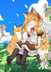 1girl :d animal_ear_fluff animal_ears apron black_boots black_skirt blue_sky blush boots bow cloud collared_shirt colored_inner_hair commentary_request creature_and_personification cumulonimbus_cloud daisy day falling_petals fang flower fox fox_ears fox_girl fox_tail frilled_skirt frills gradient_clothes grass hair_between_eyes hair_ribbon highres hill kamiyoshi_rika knee_boots long_hair looking_at_viewer maid multicolored_hair one_side_up open_mouth orange_hair original outdoors personification petals puffy_short_sleeves puffy_sleeves red_bow red_ribbon ribbon shirt shoe_soles short_sleeves sidelocks sitting skirt sky smile solo stool streaked_hair tail waist_apron white_apron white_flower white_hair white_shirt yellow_eyes