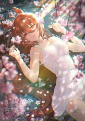 1girl agnes_tachyon_(umamusume) animal_ears bare_shoulders brown_hair cherry_blossoms collarbone dress hair_between_eyes hands_up horse_ears horse_girl horse_tail looking_at_viewer on_bed parted_lips petals purple_eyes red_eyes ripples short_hair sleeveless sleeveless_dress smile solo speech_bubble sunsunnunusun tail twitter_username umamusume white_background white_dress