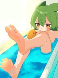 Rule 34 | 1girl, barefoot, bathing, bathtub, blush, feet, foot focus, green hair, haru maron, highres, leg up, nude, partially submerged, rubber duck, soles, solo, spread toes, toes, voiceroid, voicevox, water, yellow eyes, zundamon