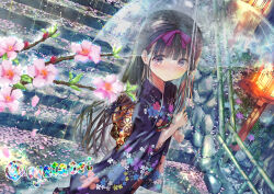 1girl black_hair blush cherry_blossoms dutch_angle floral_print highres japanese_clothes kimono long_hair looking_at_viewer obi ogata_tei original outdoors print_kimono purple_eyes purple_kimono rain sash transparent transparent_umbrella umbrella
