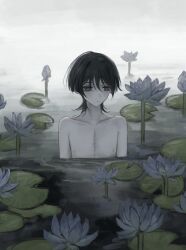 1boy arms_at_sides black_hair blue_flower blunt_ends closed_mouth collarbone empty_eyes eyelashes eyeliner eyeshadow flower genshin_impact highres lily_(flower) lily_pad looking_down makeup male_focus nipples overcast pale_skin partially_submerged purple_eyes red_eyeliner red_eyeshadow scaramouche_(genshin_impact) sky solo stitched_torso stitches topless_male wispy_bangs yoruli_e