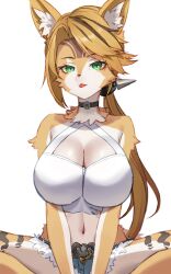 1girl animal_ear_fluff animal_ears blonde_hair body_fur breasts cat_ears cat_girl cat_tail furry furry_female green_eyes highres lace-up_sleeves large_breasts long_hair looking_at_viewer multicolored_fur pulchra_fellini serval solo tail yashirinda yellow_fur zenless_zone_zero