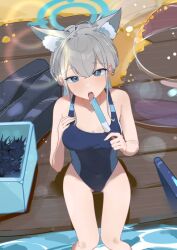 Rule 34 | 1girl, animal ear fluff, animal ears, black one-piece swimsuit, blue archive, blue eyes, box, breasts, competition swimsuit, covered navel, cross hair ornament, extra ears, food, from above, grey hair, haike, hair ornament, halo, innertube, low ponytail, medium breasts, medium hair, mismatched pupils, multicolored swimsuit, official alternate costume, one-piece swimsuit, ponytail, popsicle, sea urchin, see-through clothes, shiroko (blue archive), shiroko (swimsuit) (blue archive), soaking feet, solo, swim ring, swimsuit, tongue, tongue out, water, wolf ears