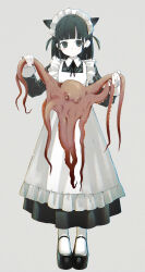 Rule 34 | 1girl, absurdres, animal, animal ears, apron, black dress, black hair, black shoes, cat ears, chromatic aberration, collared dress, dress, extra ears, fanged bangs, full body, grey background, happa de happy, highres, holding, holding animal, long sleeves, maid, maid apron, maid headdress, octopus, original, shoes, simple background, solo, standing, straight-on, tentacles, two side up, white apron