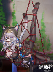 Rule 34 | 1girl, animal ear fluff, animal ears, arched back, arms behind back, ball gag, bdsm, black dress, black pantyhose, blue eyes, bondage, bound, bound arms, bound legs, bound tail, braid, breast bondage, breasts, breath, cat ears, cat tail, cipher (honkai: star rail), cleavage, cleavage cutout, clothing cutout, crotch rope, dress, drooling, female focus, gag, gag harness, gagged, grey hair, highres, honkai: star rail, honkai (series), hooded dress, long hair, looking at viewer, medium breasts, no shoes, pantyhose, red rope, restrained, rope, saliva, shibari, shibari over clothes, skindentation, soles, solo, suspension, tail, thighs, toes, wiffle gag, yiduan zhu