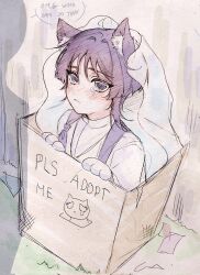 Rule 34 | 1boy, animal ear fluff, animal ears, bishounen, blunt ends, blush, bow, box, cardboard box, cat boy, cat ears, cat paw, closed mouth, crying, crying with eyes open, empty eyes, english text, genshin impact, grass, hacwss, hatching (texture), highres, in box, in container, japanese clothes, kariginu, linear hatching, male focus, parted lips, purple bow, purple eyes, purple hair, scaramouche (genshin impact), scaramouche (kabukimono) (genshin impact), shadow, sketch, solo, tasuki, tears, veil, white mouth, white veil, wispy bangs