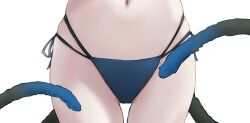 1girl absurdres bikini black_bikini black_tail blue_archive blue_bikini blue_one-piece_swimsuit blue_tail cat_girl cat_tail close-up commentary_request crotch_focus gabang gradient_tail highres kikyou_(blue_archive) kikyou_(swimsuit)_(blue_archive) korean_commentary layered_bikini lower_body multiple_tails navel official_alternate_costume one-piece_swimsuit side-tie_bikini_bottom simple_background skindentation solo stomach swimsuit tail thigh_gap two_tails white_background