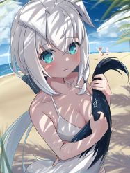 3girls absurdres animal_ear_fluff animal_ears arms_up beach bikini black_bow blush bow braid breasts cleavage cloud cloudy_sky commentary_request day ears_down fox_ears fox_girl fox_tail green_eyes hair_between_eyes hair_bow highres holding_tail hololive inugami_korone long_hair looking_at_viewer medium_breasts morotade_kudou multiple_girls nekomata_okayu ocean outdoors palm_tree pentagram purple_bikini shadow shirakami_fubuki sidelocks single_braid sky smile swimsuit tail tree virtual_youtuber white_bikini white_hair yellow_bikini