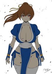 1girl breasts dead_or_alive kasumi_(doa) large_breasts long_hair noby