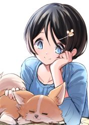 1girl :3 animal black_hair blue_eyes chihuahua chikuwa_(yurucamp) dog dog_hair_ornament hair_ornament highres n2midori petting saitou_ena short_hair sleeping smile white_background yurucamp