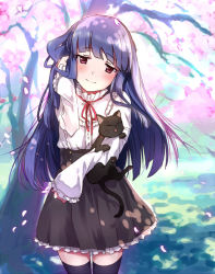Rule 34 | 10s, 1girl, adjusting hair, animal, black hair, black skirt, blouse, blue hair, blush, cat, cherry blossoms, cowboy shot, dappled sunlight, dress, female focus, frilled skirt, frills, head tilt, holding, holding animal, idolmaster, idolmaster cinderella girls, long hair, long sleeves, looking at viewer, miniskirt, neck ribbon, nemeko, outdoors, red eyes, red ribbon, ribbon, sajo yukimi, shirt, skirt, smile, solo, sunlight, thighhighs, tree, white shirt, zettai ryouiki