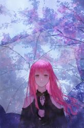 1girl absurdres bare_shoulders black_ribbon black_shirt brown_eyes cherry_blossoms chinese_commentary closed_mouth clothing_cutout collared_shirt commentary_request day eyelashes floating_hair happy highres holding holding_umbrella light_blush long_hair long_sleeves neck_ribbon nikki_(nikki) nikki_(series) outdoors pink_hair rain ribbon sea0 shining_nikki shirt shoulder_cutout sidelocks smile solo spring_(season) transparent transparent_umbrella tree umbrella umbrella_over_shoulder upper_body wavy_hair wind