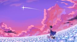 1girl 2others absurdres atmospheric_perspective blue_dress blue_flower dog dress field flower flower_field fruiitlins full_body hair_flower hair_ornament highres holding holding_umbrella lilypichu meadow multiple_others offlinetv pink_clouds pomeranian_(dog) poppy_(flower) shirt shooting_star sparkle too_many_flowers umbrella white_shirt