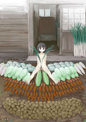1girl barefoot black_eyes black_hair blush cabbage carrot collarbone completely_nude convenient_censoring dirty dirty_feet flat_chest food full_body highres long_hair looking_at_viewer nipples no_nose nude on_ground original outdoors parted_lips potato radish roreru_(rorerore-ya) signature sitting solo spread_legs spring_onion vegetable