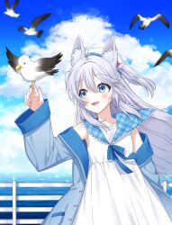 1girl ahoge animal_ear_fluff animal_ears bird bird_on_hand blue_eyes blue_jacket blue_sailor_collar blue_sky blush cloud coat day dress fox_ears fox_girl grey_hair hat highres horiz_(vrchat) jacket long_hair long_sleeves looking_at_animal ocean open_clothes open_mouth outdoors poi1107 sailor_collar sailor_dress sailor_hat seagull sky sleeveless sleeveless_dress smile solo two_side_up vrchat white_dress white_hair