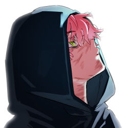 Rule 34 | 1girl, alien stage, black hood, closed mouth, green eyes, highres, hood, hood up, kyon (zmwh8222), looking up, mizi (alien stage), pink hair, portrait, scar, scar on face, short hair, simple background, solo, very short hair, white background