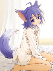 1girl animal_ears between_legs day expressionless flat_chest hand_between_legs indoors long_sleeves looking_at_viewer naked_shirt no_pants on_bed punto purple_eyes purple_hair shirt short_hair sitting sleepy summon_night tail tears wariza white_shirt wolf_ears wolf_girl wolf_tail yuel_(summon_night)