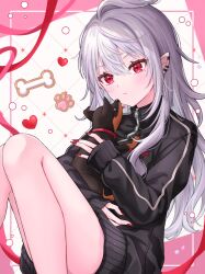 1girl animal animal_collar black_jacket blush bone collar curly_hair dachshund dog ear_piercing genderswap genderswap_(mtf) heart highres holding holding_animal holding_dog jacket kuzuha_(nijisanji) long_hair long_sleeves mole mole_under_eye nail_polish nijisanji paw_print pet piercing pointy_ears ponigiri12 red_eyes red_nails ribbon sanya_(kuzuha) sleeves_past_wrists solo thighs track_jacket virtual_youtuber white_hair zipper zipper_pull_tab