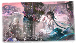 Rule 34 | 2girls, absurdres, ambience synesthesia, amiya (ambience synesthesia 2025) (arknights), amiya (arknights), animal ears, aqua eyes, arknights, black hair, braid, character request, chinese commentary, choker, closed mouth, commentary, cowboy shot, crown, dress, flower, green eyes, hair between eyes, hand up, highres, holding, holding flower, jewelry, light particles, long hair, looking up, multiple girls, multiple rings, official alternate costume, pink flower, pink rose, ring, rose, ruoganzhao, sidelocks, smile, sparkle, standing, white choker, white dress, white flower, white hair
